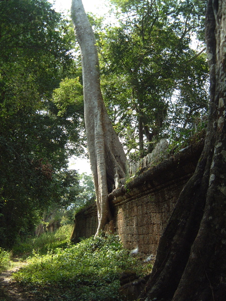 02_cambodia - 064