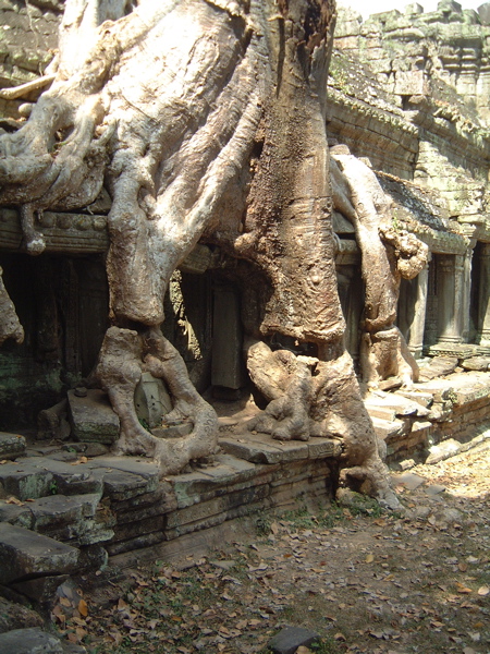 02_cambodia - 070