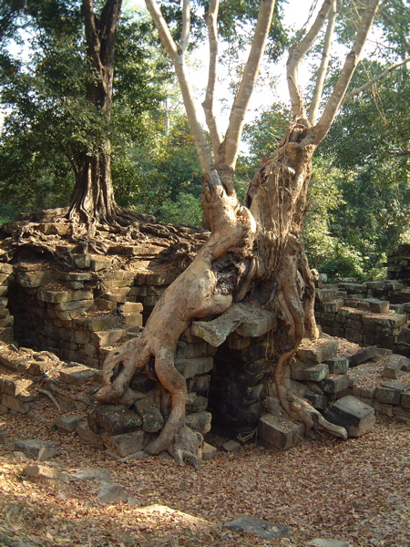 02_cambodia - 099