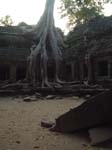 02_cambodia - 091